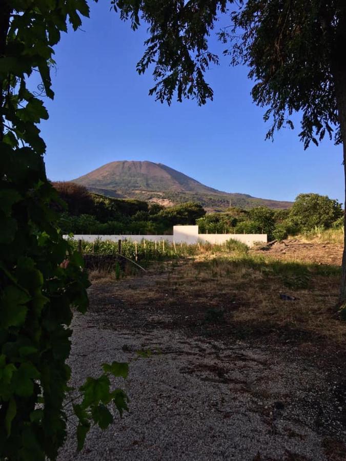 Villa Mazza Al Vesuvio 토레델그레코 외부 사진