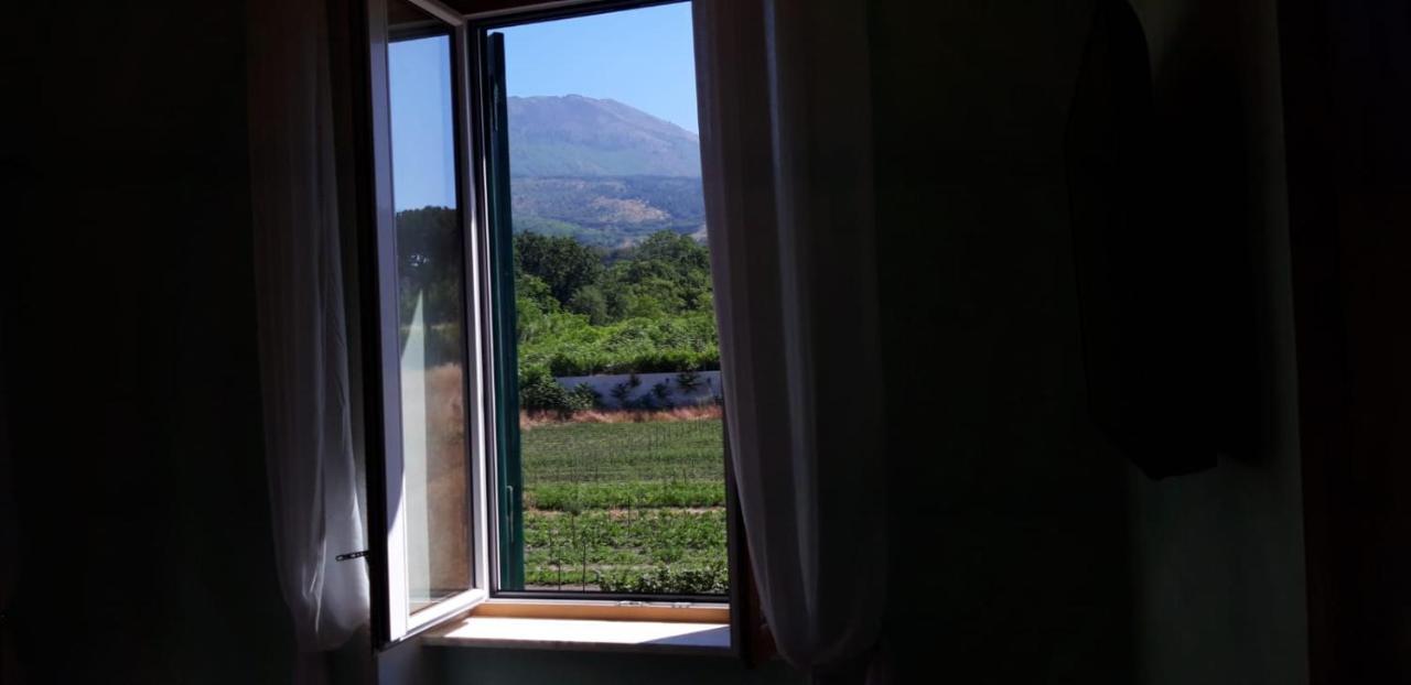 Villa Mazza Al Vesuvio 토레델그레코 외부 사진